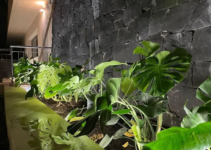 Luxury Oceanview De Nava With Heated Private Pool Villa